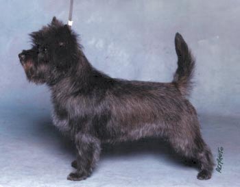 Hudson