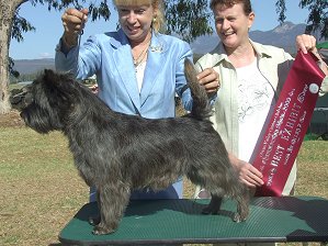 Gr.Ch.Joymont Secret Mission  Winnning  Best in Group at Ovens Valley KC 2009 